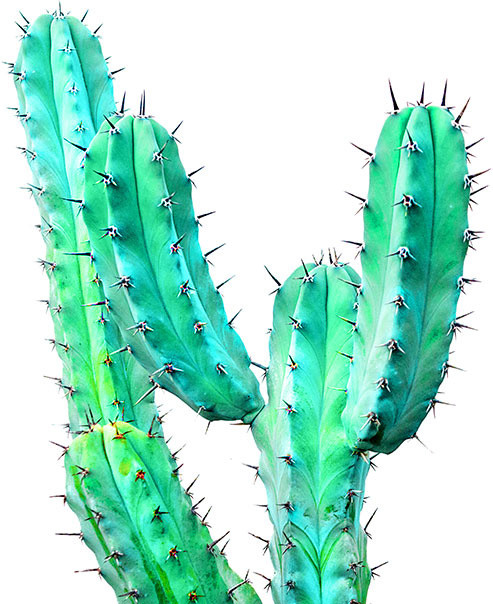 Décoration Graphisme