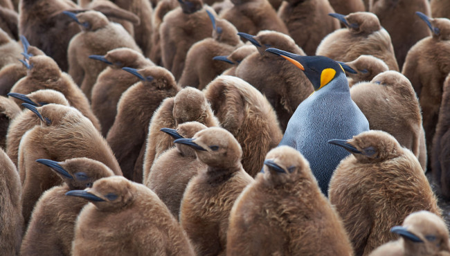 Qu&rsquo;est-ce qu&rsquo;un brevet?