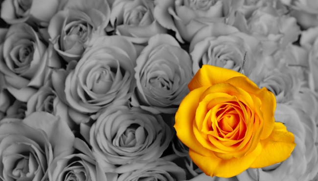 Qu'est-ce que le marketing de raret&eacute;?