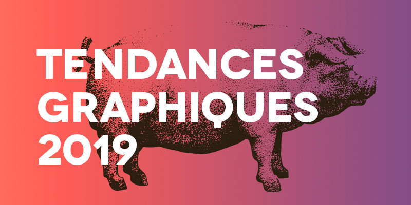 Texte blanc "Tendances graphiques 2019" sur fond dégradé orange violet avec illustration d'un cochon noir.
