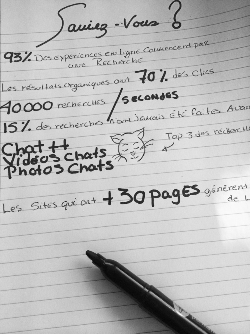 Notes manuscrites sur papier lignés avec statistiques sur recherches en ligne et un dessin de chat, stylo noir posé.